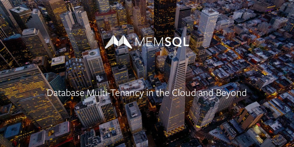 Database Multi-Tenancy in the Cloud and Beyond