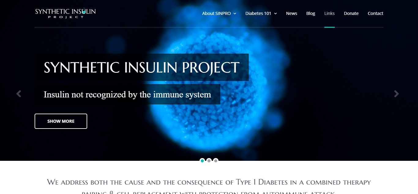Synthetic Insulin Project